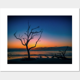 Driftwood Beach Jekyll Island Georgia Posters and Art